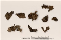 藏品(孔梅衣)的圖片